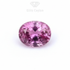 0.50 CT Natural Pink Sapphire - Unheated