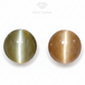 1.05 CT Natural Colour Change Cat's Eye