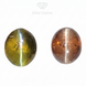 1.15 Carat  Natural Colour Change Cat's Eye