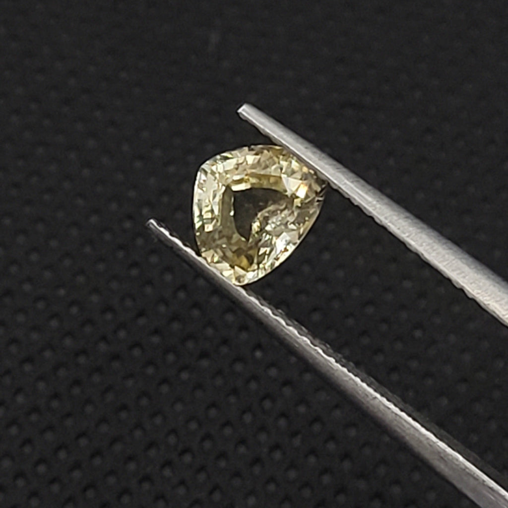 1.56 CT Natural Yellow Sapphire - Unheated_blackbb_heldby_tweezer