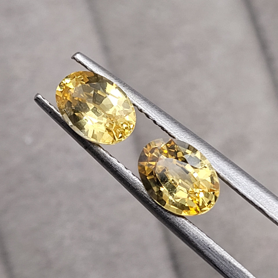 2.25 CT Natural Yellow Sapphire Pair - Heated_heldby_tweezer3