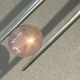 2.65 Carat Natural Padparadscha Star Sapphire - Untreated