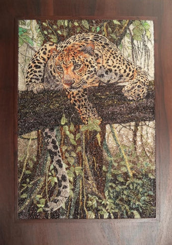 Ceylon Leopard