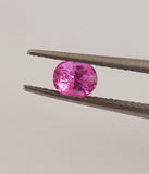 0.80 Carat Natural Pink Sapphire - Unheated